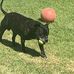 Tyson Sydney - Facebook