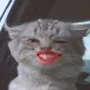 Sydney van Ginderen - @sydneyvanginderen - TikTok