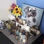 Sydney Wong - Facebook