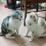 Sydney Wong - @sydney.wong.3 - Instagram