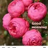 SyedAkbari - @30465087329 - TikTok