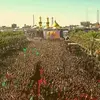 Syed Chishty - @syedchishty - TikTok