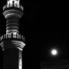 syedhamdani383 - @syed.hamdani8 - TikTok