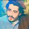 Syed Nabi - @syed.nabi05 - TikTok