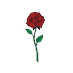 akber._.razvi - @syed._.razvi - Instagram