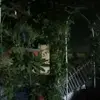 shakeel - @syedshakeel_76 - TikTok