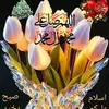 512storeinc - @syedaabbas512 - TikTok