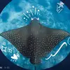 Sukaina Abbas - @syedaabbas00 - TikTok