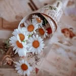 Syeda Abbas - @s_bushraabbas_rizvi - Instagram