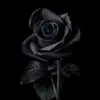 Syeda Abbas - @syedaabbas18 - TikTok