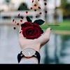 Syeda  hashmi 19 - @syedahashmi7 - TikTok
