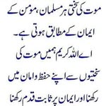 Syeda Imam - @hina.imam.98 - Instagram