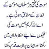 Syeda Imam - @syeda.imam - TikTok