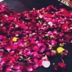 Syeda imama Zahra - @syeda_imama_zahra - Instagram