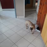 Sylvain Cote - @poupoune03061959 - Instagram