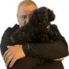 Sylvain tremblay - @sylvain.tremblay71 - TikTok