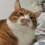 Sylvester Arnold - @arnoldisstrange - Instagram