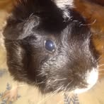 Jenny Funes-sylvester - Facebook