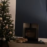 @sylvesterhousehold - Instagram