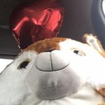 Sylvester Hunt - @sylvester_hunt9 - Instagram