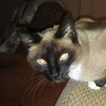 Sylvester Hunter - @sylvester.hunter.75 - Instagram