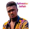 Sylvester Jallah - @sylvesterjallah - TikTok
