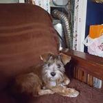 Sylvester Kirk - @sylvester.kirk.18 - Instagram