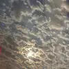 sylvesterkirks988 - @sylvesterkirks988 - TikTok