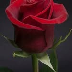 Sylvester Lockett - @sylvesterlockett - Instagram