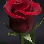 Sylvester Lockett - Facebook