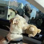 sylvester Love - @godlover1420 - Instagram