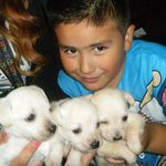 Sylvester Luna - @username33879 - Instagram
