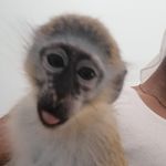 Kobe Sylvester Marshall - @_officialkobe_ - Instagram