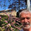 sylvestermorris56 - @sylvestermorris56 - TikTok