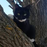 Nelson Lord - @lord_sylvester_nelson - Instagram