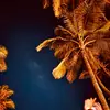 Nelson sylvester-23 - @nelson.sylvester2 - TikTok