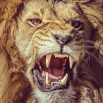 Sylvester Patrick Makubo - @sylvesterpatrickmakubo - Instagram
