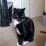 Sylvester - @sylvester_perry707 - Instagram