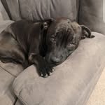 Sylvester Perry - @perry10011 - Instagram