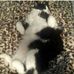 Sylvester Pittman - Facebook