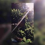 Sylvester Simmons - @sylvestersimmons855 - Instagram
