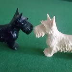 Sylvester Walters - @sylvesterwalters68 - Instagram