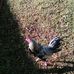 Sylvester Ware - Facebook