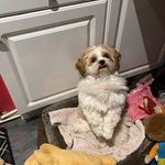 Sylvia Abbott - @sylviaabbott - Instagram
