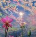 Silvia Alejandro - Facebook