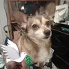 sylviaalejandro25 - @sylviaalejandro25 - TikTok