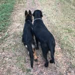 Sylvia Arndt - @urmel1104 - Instagram