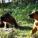 Sylvia Arndt - @aaron.odin2020 - Instagram