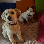 Sylvia Austin - @sylvi.karmi - Instagram