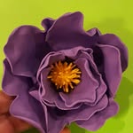 Sylvia Ayers - @ma84fun - Instagram